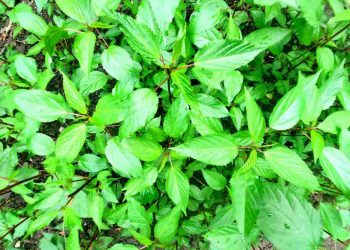 Sở hữu làn da đẹp