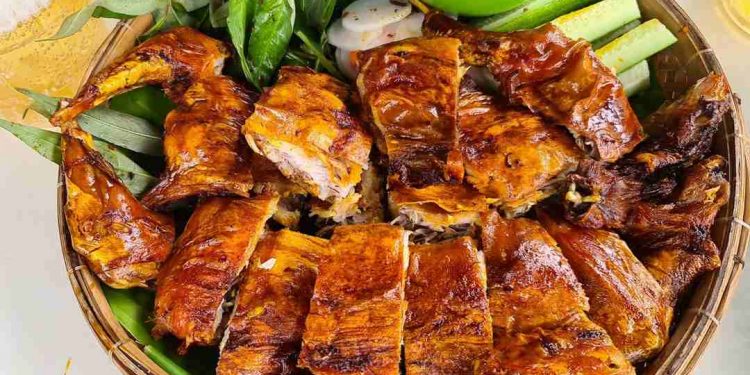 Thịt Thỏ - Tổng hợp những món ngon bổ dưỡng dễ làm