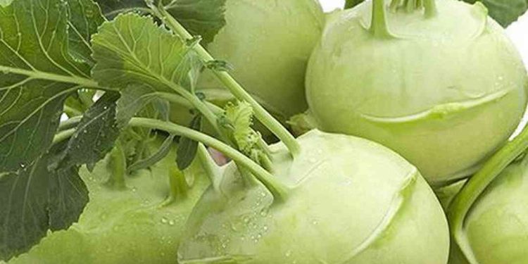 Su hào là loại thực phẩm quen thuộc, được sử dụng rộng rãi