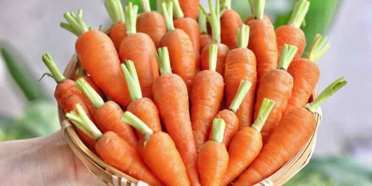 Thu hoạch nên chừa lại cuốn để trông đẹp mắt hơn