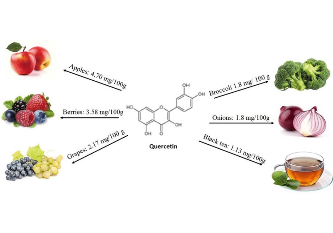 Chất Quercetin được cung cấp từ hành tây - Onions