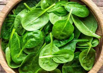 Tìm hiểu về rau mồng tơi