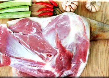 Tìm hiểu sơ lược về thịt dê