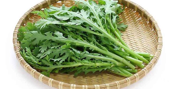 Công dụng của rau cải cúc