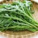 Công dụng của rau cải cúc