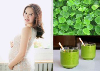 Đi tìm lời giải cho việc bà bầu ăn rau má được không?