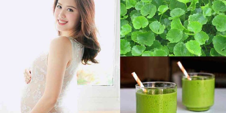 Đi tìm lời giải cho việc bà bầu ăn rau má được không?