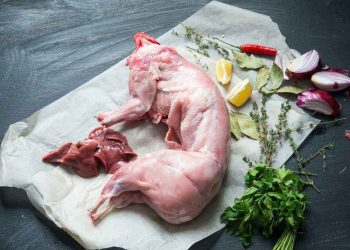Cách chọn mua thịt thỏ tươi ngon