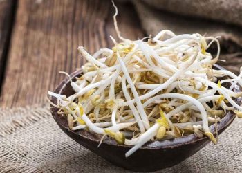 Giá đỗ là món ăn giúp giảm cân