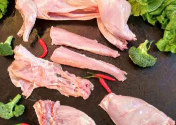 Giá thịt thỏ bao nhiêu tiền 1kg