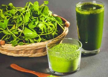 Nên uống nước ép rau má giảm cân trước mỗi bữa ăn 30 phút