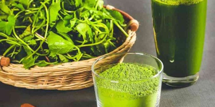 Nên uống nước ép rau má giảm cân trước mỗi bữa ăn 30 phút