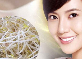 Giá đỗ làm đẹp da, chống lão hóa