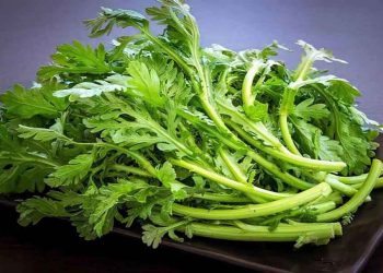 Ăn rau cải cúc có tác dụng gì?