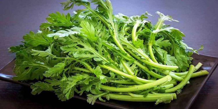 Ăn rau cải cúc có tác dụng gì?