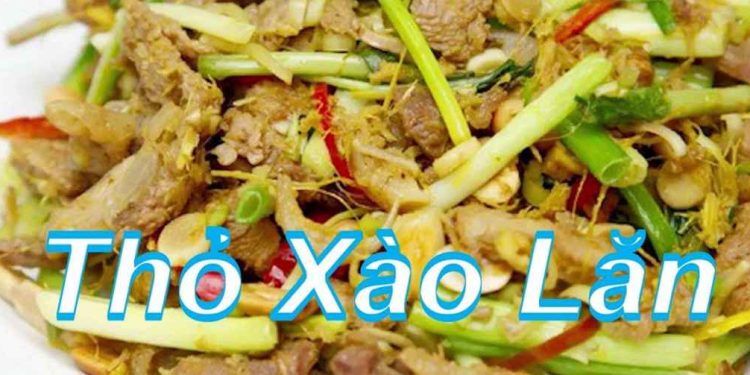 Cách làm thịt thỏ xào lăn thơm ngon đậm vị, đưa cơm đơn giản tại nhà