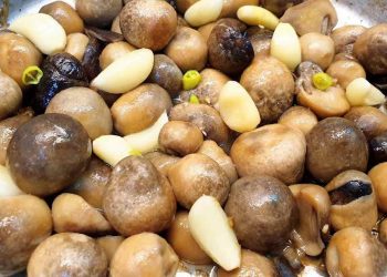 Cách chế biến nấm rơm để giữ hương vị tuyệt vời