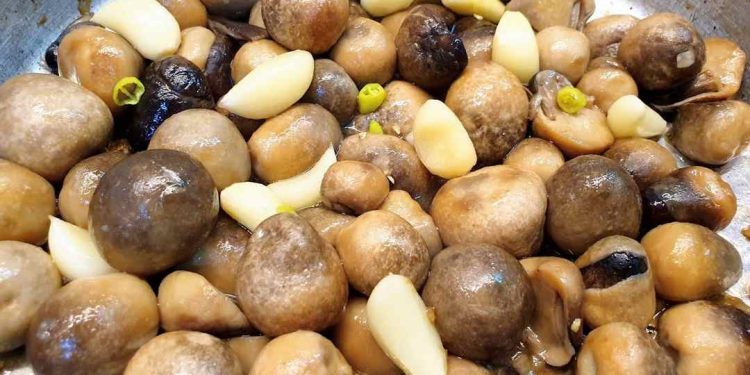 Cách chế biến nấm rơm để giữ hương vị tuyệt vời