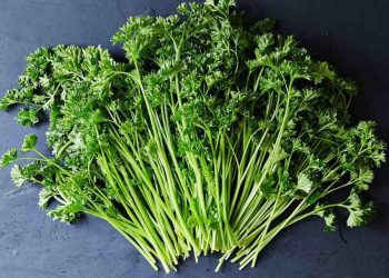 Tổng hợp đặc điểm rau mùi tây