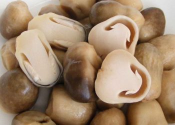 Giá trị Dinh Dưỡng Của Nấm Rơm