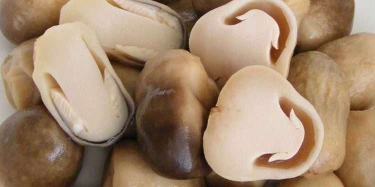 Giá trị Dinh Dưỡng Của Nấm Rơm