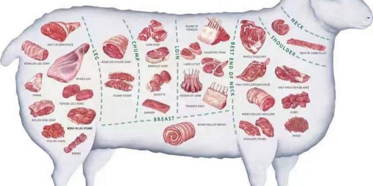 Tại Sao Nên Ăn Thịt Cừu?