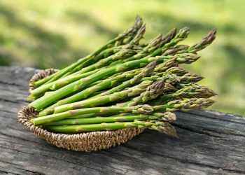 Những lợi ích của măng tây