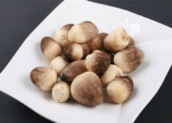 Nấm Có Nguồn Gốc Từ Đâu?