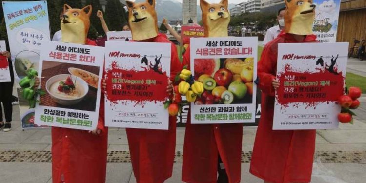 Hậu Quả Của Việc Ăn Thịt Chó?